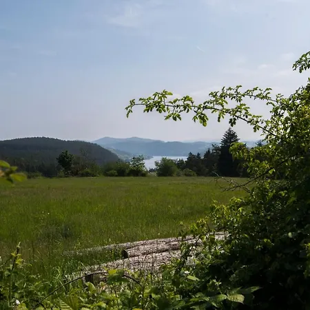 Wellness Bungalov - Vodni Nadrz Slapy - 40Km Od Prahy Necin Exterior photo