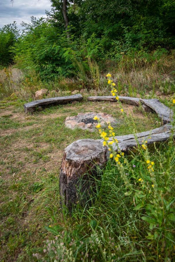 Ferienhaus Wellness - Vodni Nadrz Slapy - 40km Od Prahy